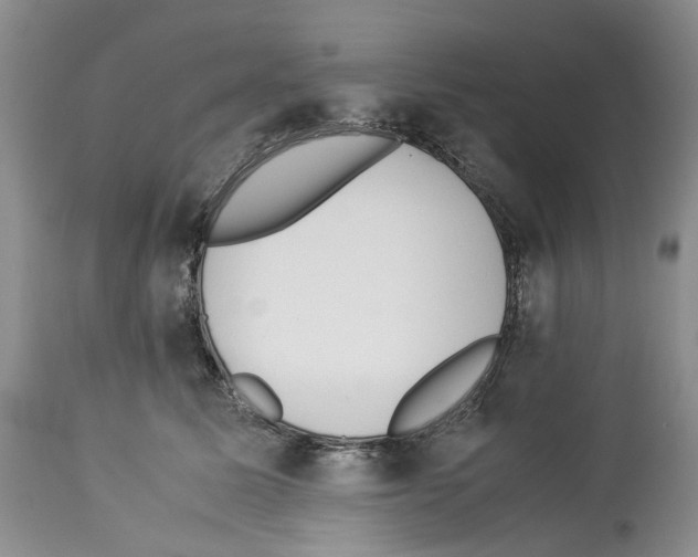 X0000114060611200911161130