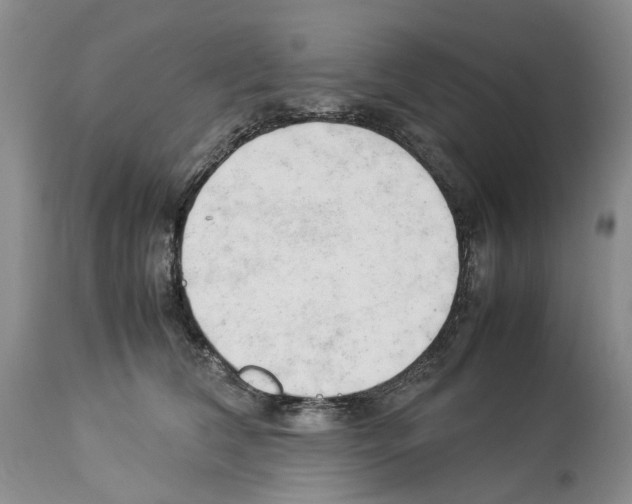 X0000114060612200911161130