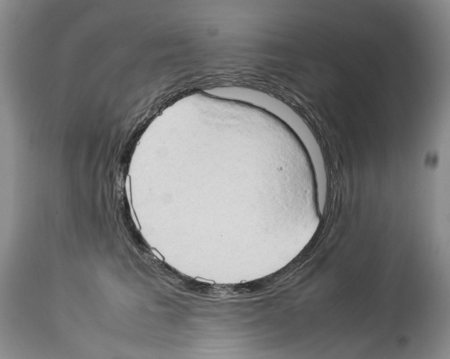 X0000114060613200911161130