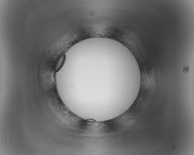 X0000114060621200911161130