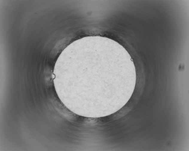 X0000114060624200911161130