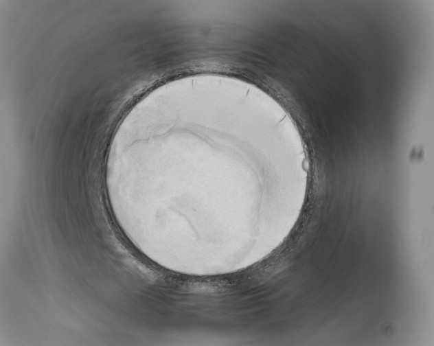 X0000114060625200911161129