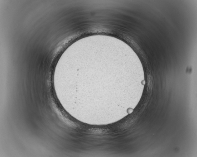 X0000114060629200911161129