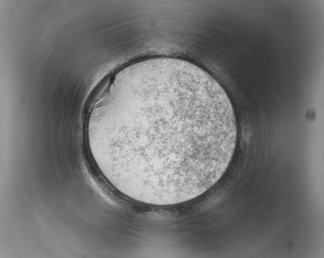 X0000114060630200911161129