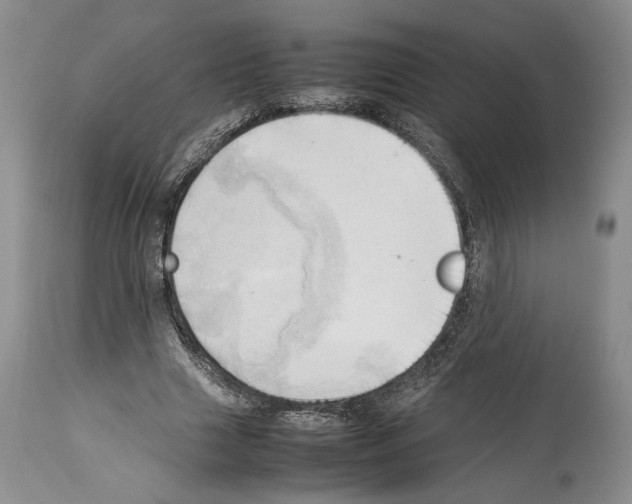 X0000114060633200911161129