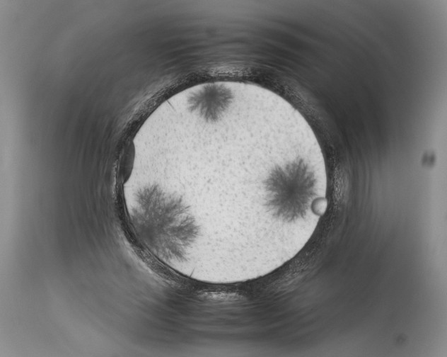 X0000114060637200911161129