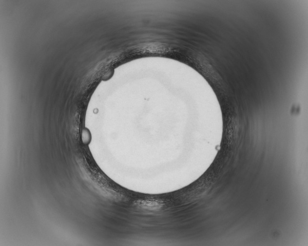 X0000114060639200911161129