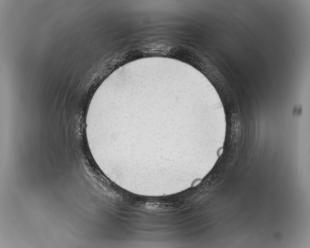 X0000114060641200911161129