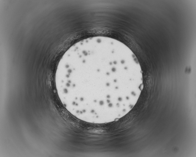 X0000114060643200911161129