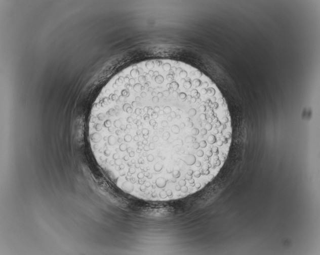 X0000114060646200911161130