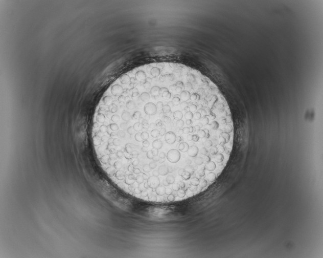 X0000114060662200911161130