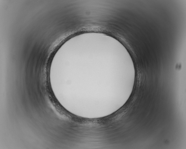 X0000114060674200911161129