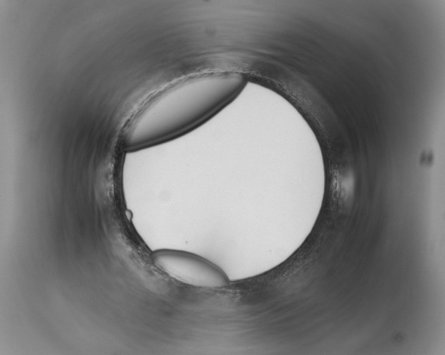 X0000114060676200911161129