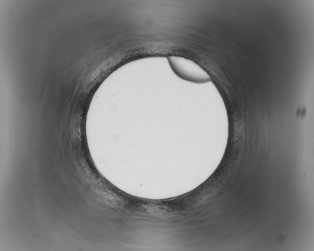 X0000114060681200911161129