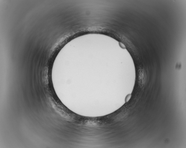 X0000114060684200911161129