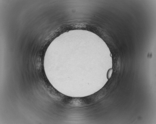 X0000114060704200911161129