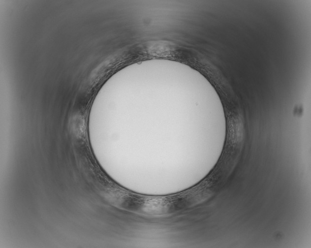 X0000114060705200911161129