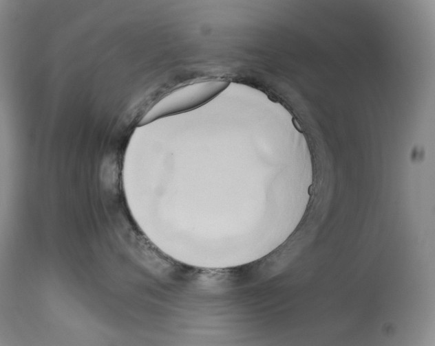 X0000114060720200911161129