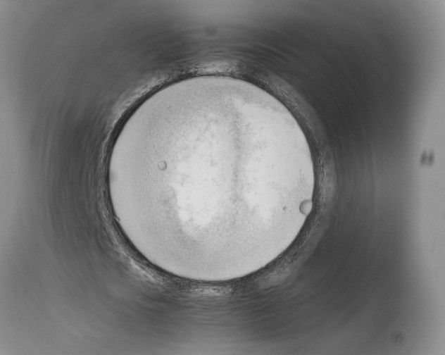 X0000114060721200911161128