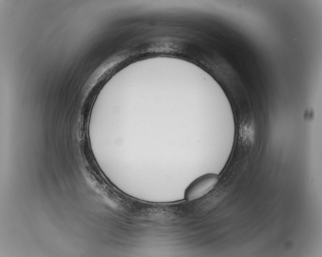 X0000114060724200911161128