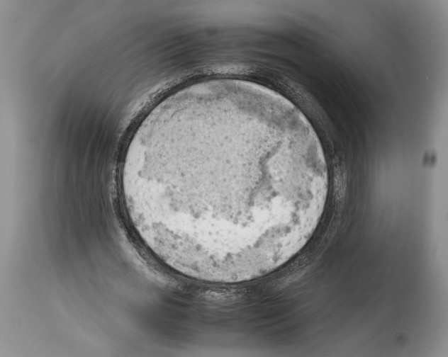 X0000114060725200911161128