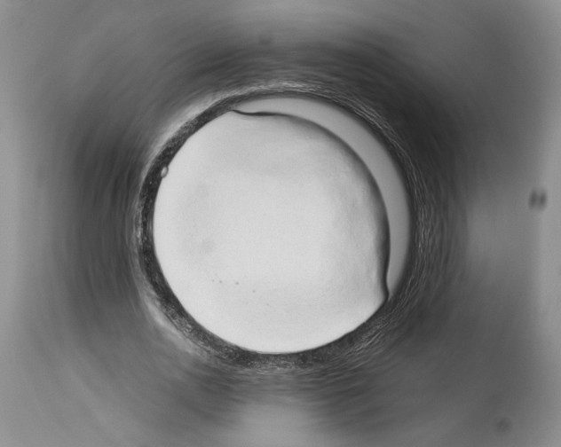 X0000114060726200911161128