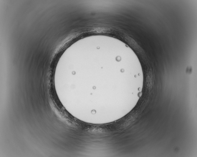 X0000114060730200911161128