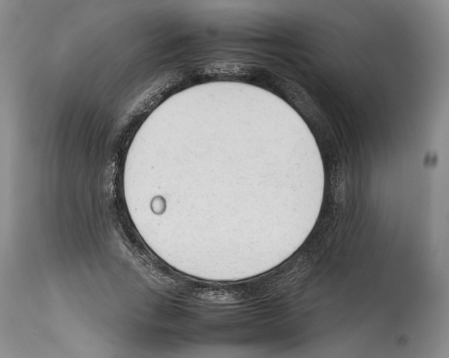 X0000114060735200911161128