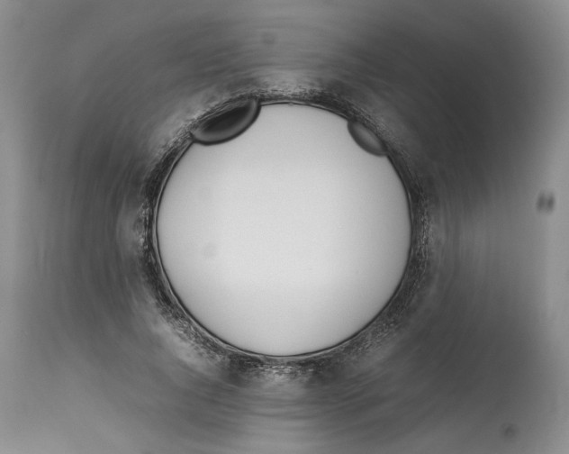 X0000114060736200911161128