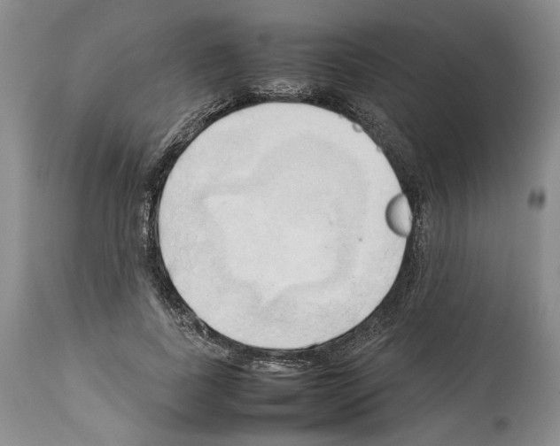 X0000114060739200911161128