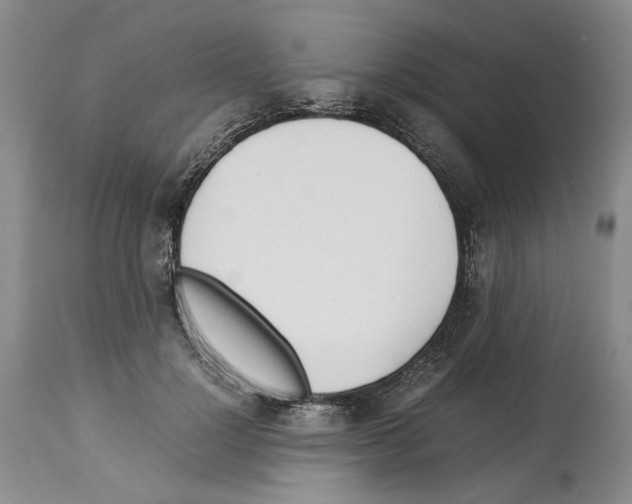 X0000114060748200911161128