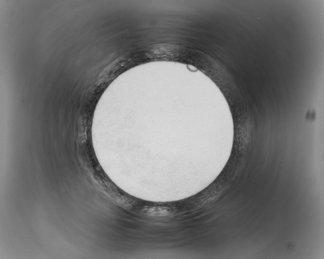 X0000114060751200911161128