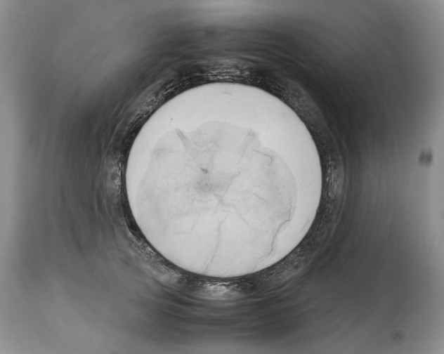 X0000114060753200911161128