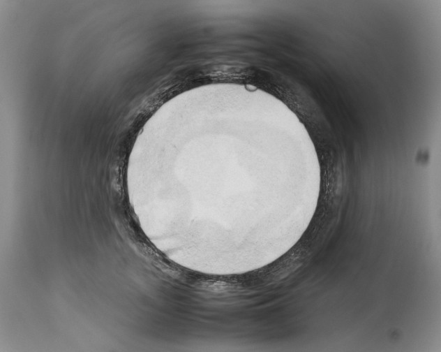 X0000114060755200911161128