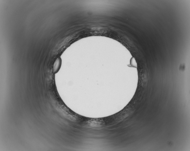 X0000114060756200911161128