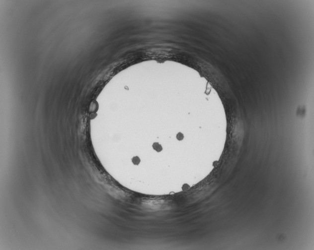 X0000114060759200911161128