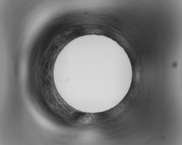 X0000114060764200911161128