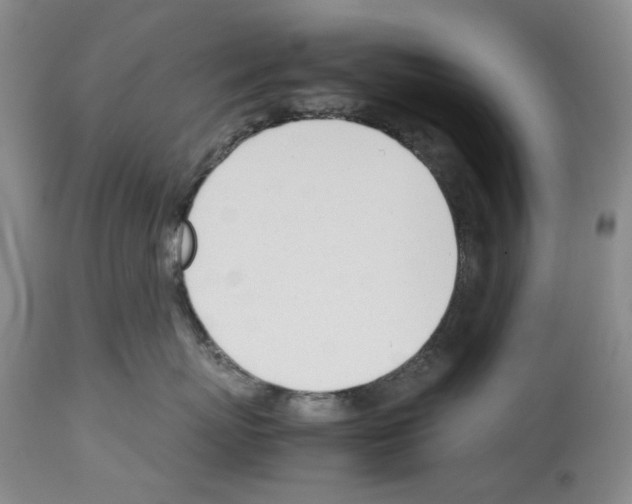 X0000114060767200911161129