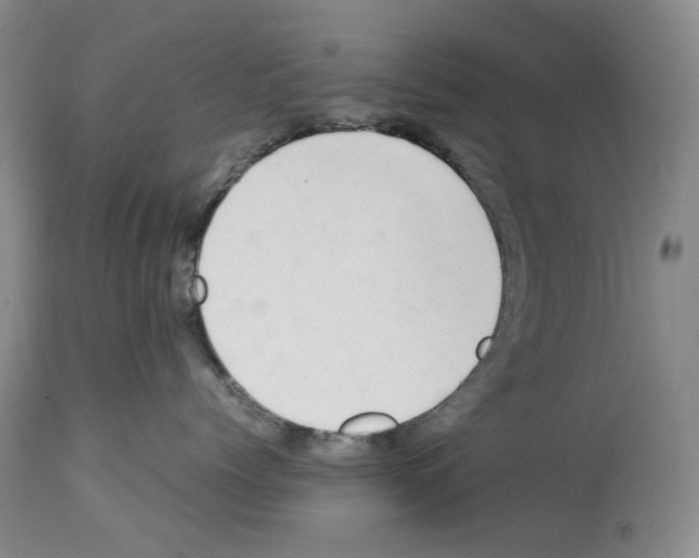 X0000114060768200911161129