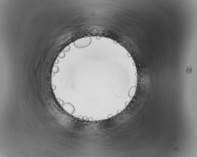 X0000114060769200911161128