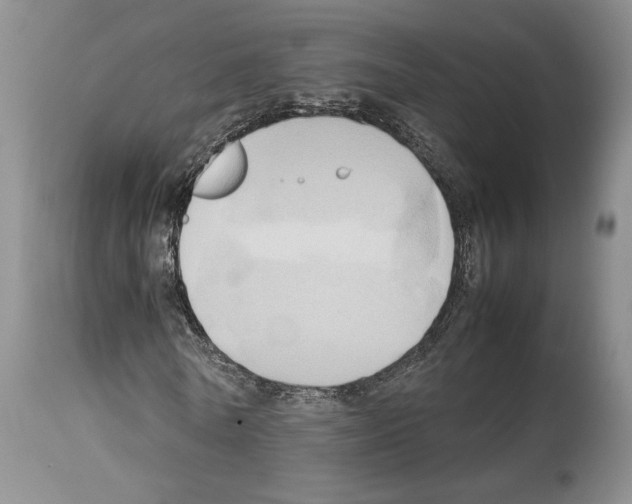 X0000114060770200911161128