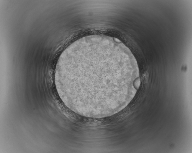 X0000114060772200911161128