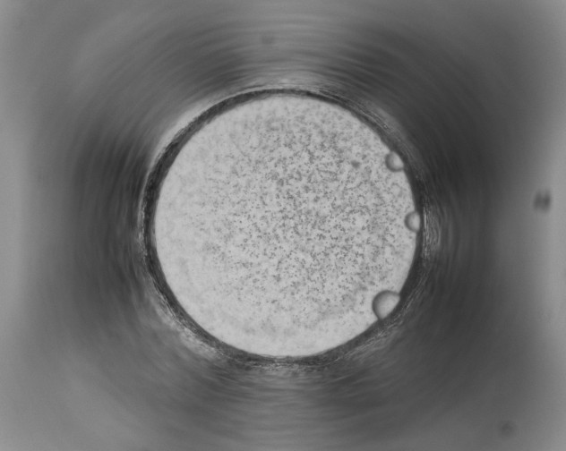 X0000114060780200911161128