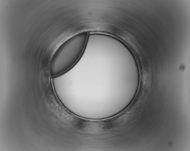 X0000114060781200911161128