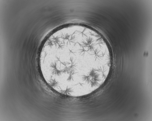 X0000114060783200911161128