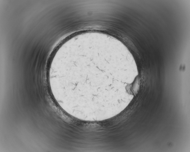 X0000114060784200911161128