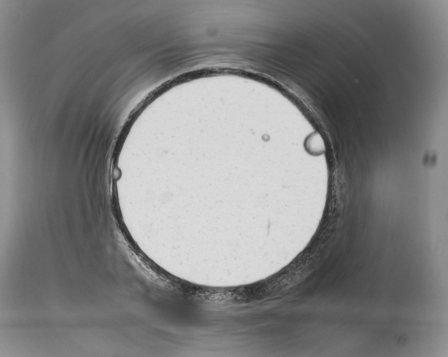 X0000114060791200911161128