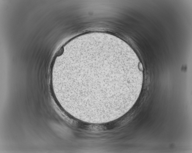 X0000114060795200911161127