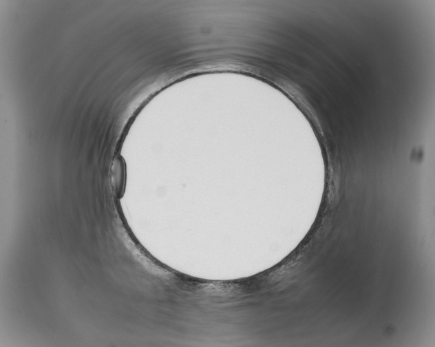 X0000114060805200911161127