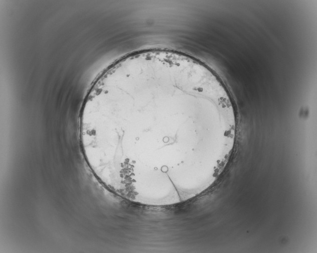 X0000114060807200911161127